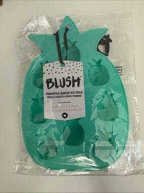 Blush Pineapple Silicone Ice Mold in Teal-Green-Set of 4 Trays